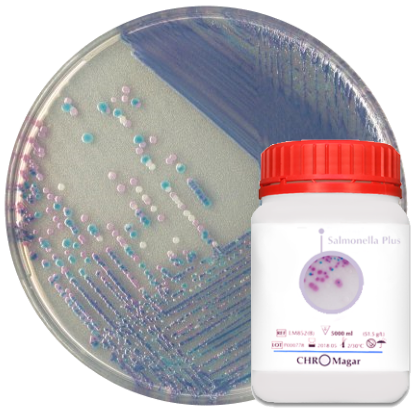 CHROMagar™ Salmonella Plus